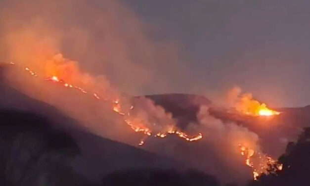 Fuego controlado en la Sierra de Morones: Tlaltenango agradece a sus héroes